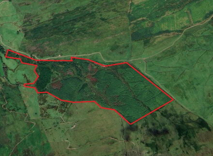 C. 41.5 Acres Forestry, Barnastooka, Kilgarvan