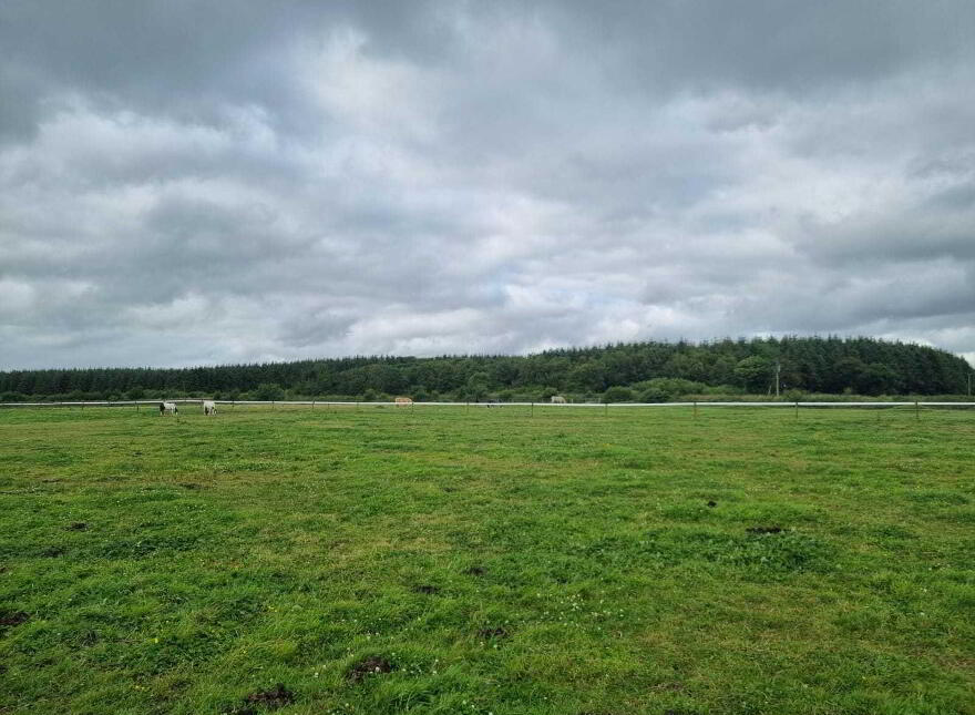 Whitethorn Equestrian Centre, Knocknasnaa, Abbeyfeale, V9476C0