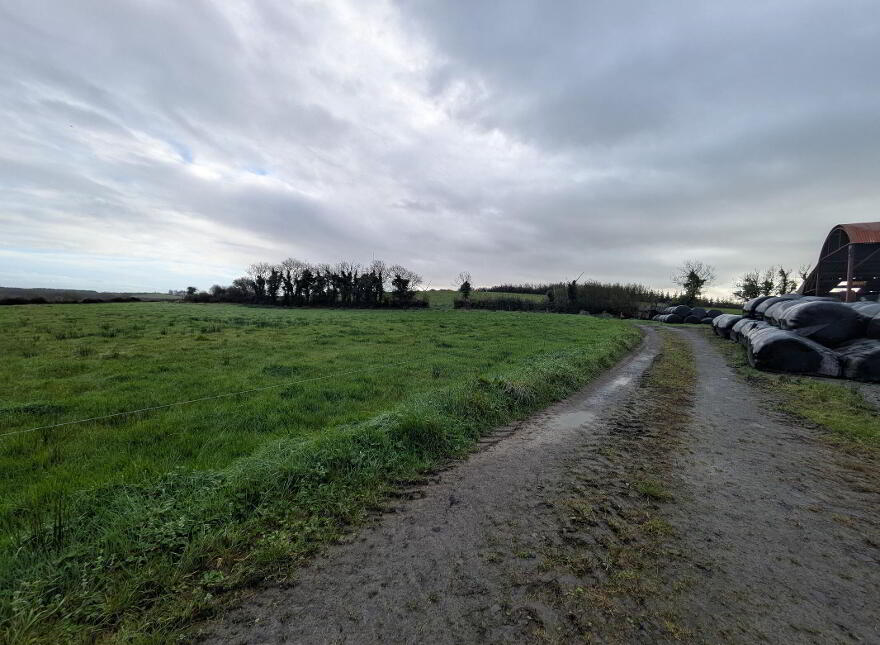 C.38 Acres At Derrybrick, Knockalough
