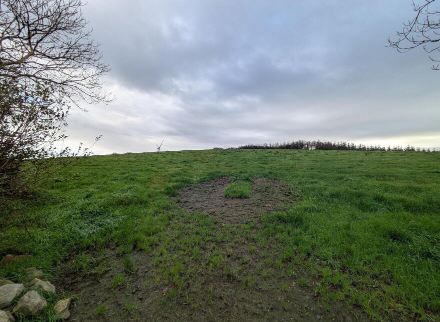C.38 Acres At Derrybrick, Knockalough