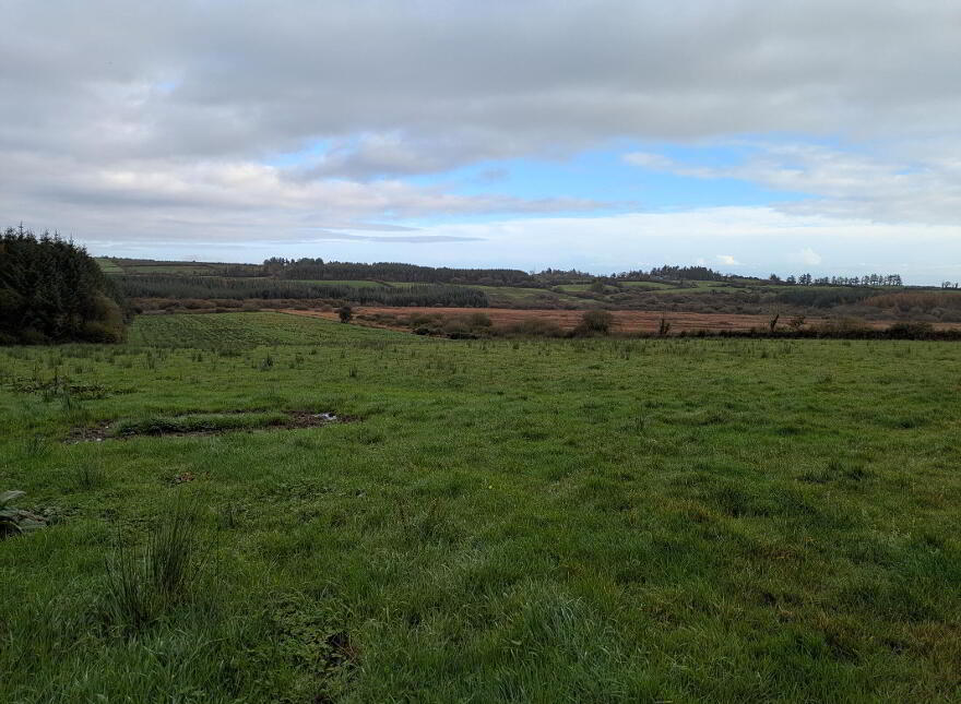 C.38 Acres At Derrybrick, Knockalough