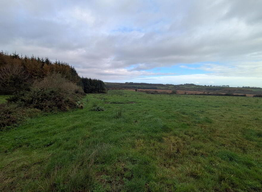 C.38 Acres At Derrybrick, Knockalough