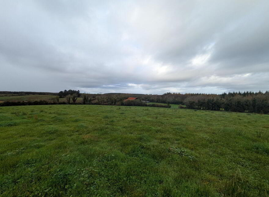 C.38 Acres At Derrybrick, Knockalough