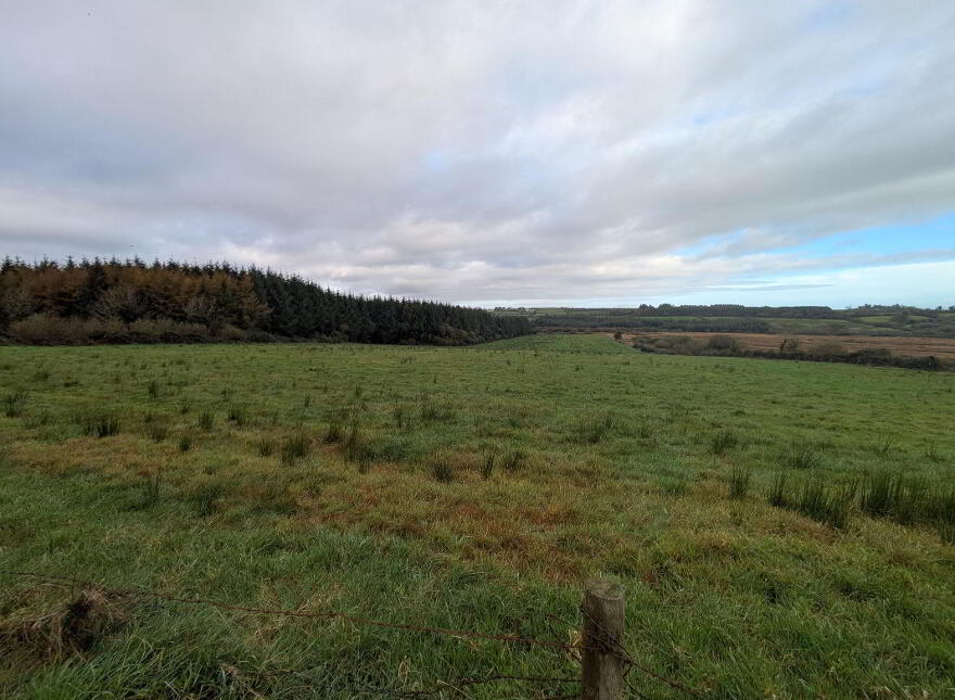 C.38 Acres At Derrybrick, Knockalough