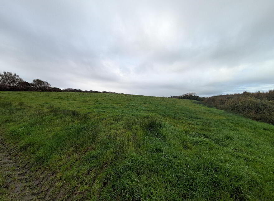 C.38 Acres At Derrybrick, Knockalough