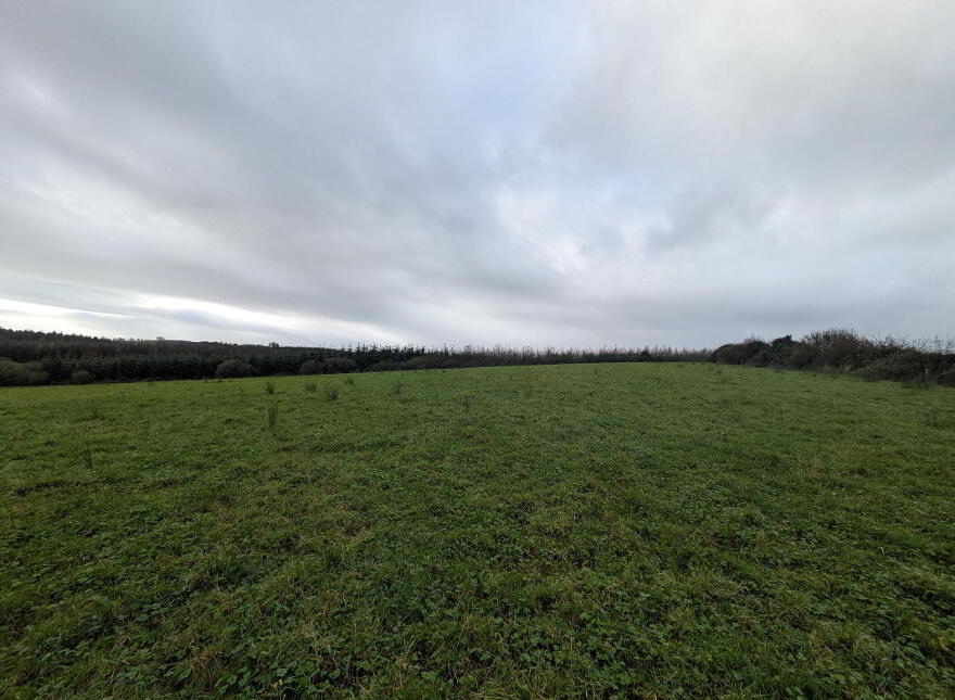 C.38 Acres At Derrybrick, Knockalough