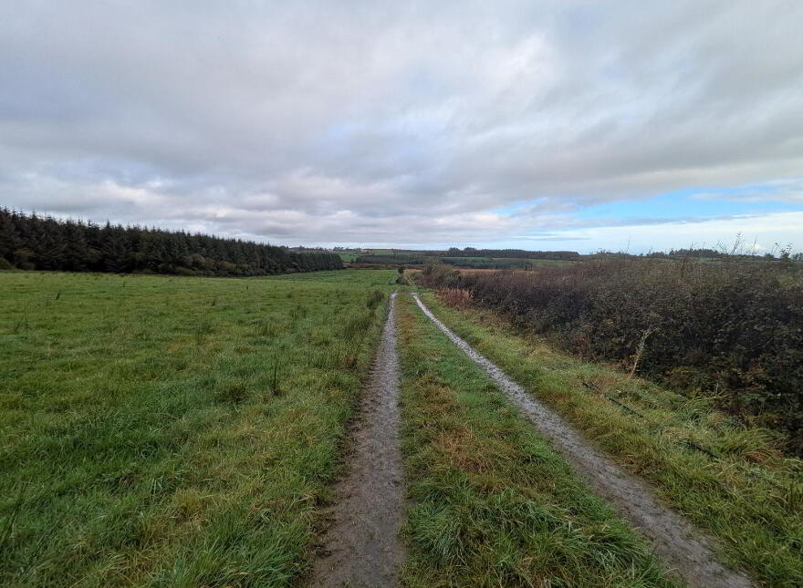 C.38 Acres At Derrybrick, Knockalough