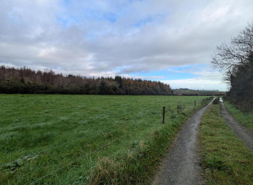 C.38 Acres At Derrybrick, Knockalough