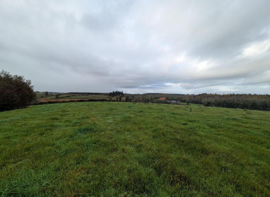 C.38 Acres At Derrybrick, Knockalough