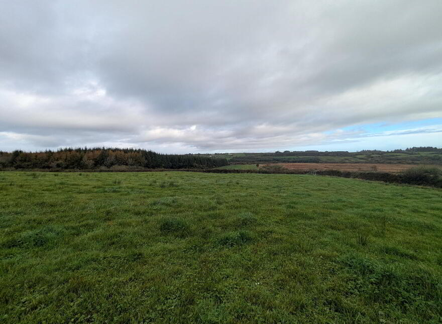 C.38 Acres At Derrybrick, Knockalough