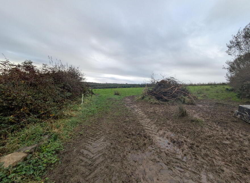 C.38 Acres At Derrybrick, Knockalough