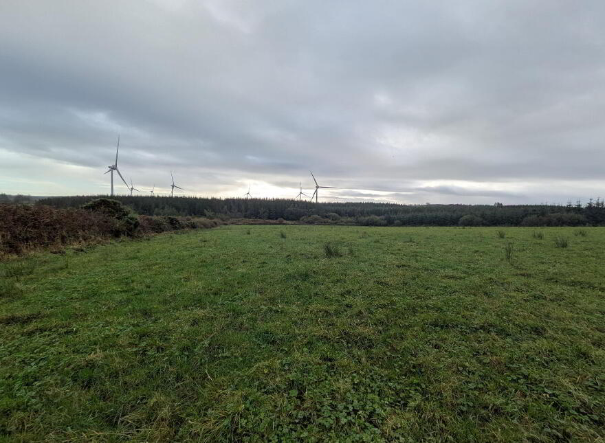 C.38 Acres At Derrybrick, Knockalough