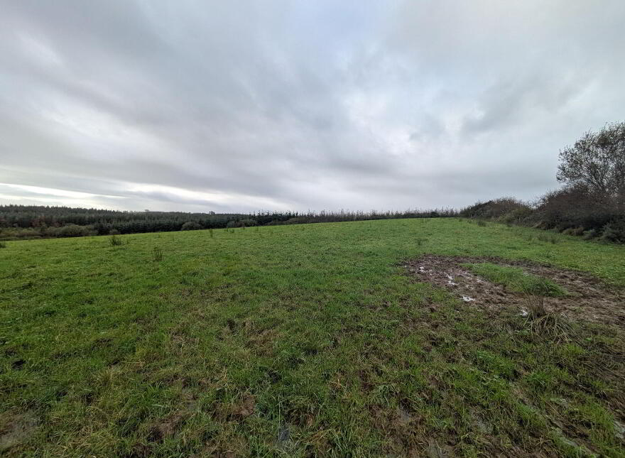 C.38 Acres At Derrybrick, Knockalough