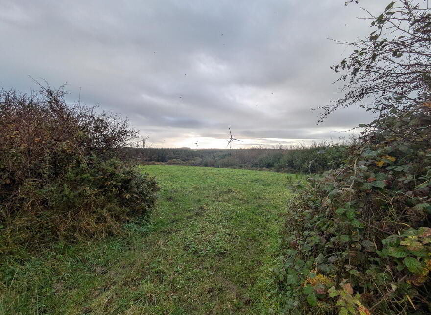 C.38 Acres At Derrybrick, Knockalough
