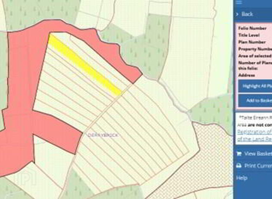 C.38 Acres At Derrybrick, Knockalough