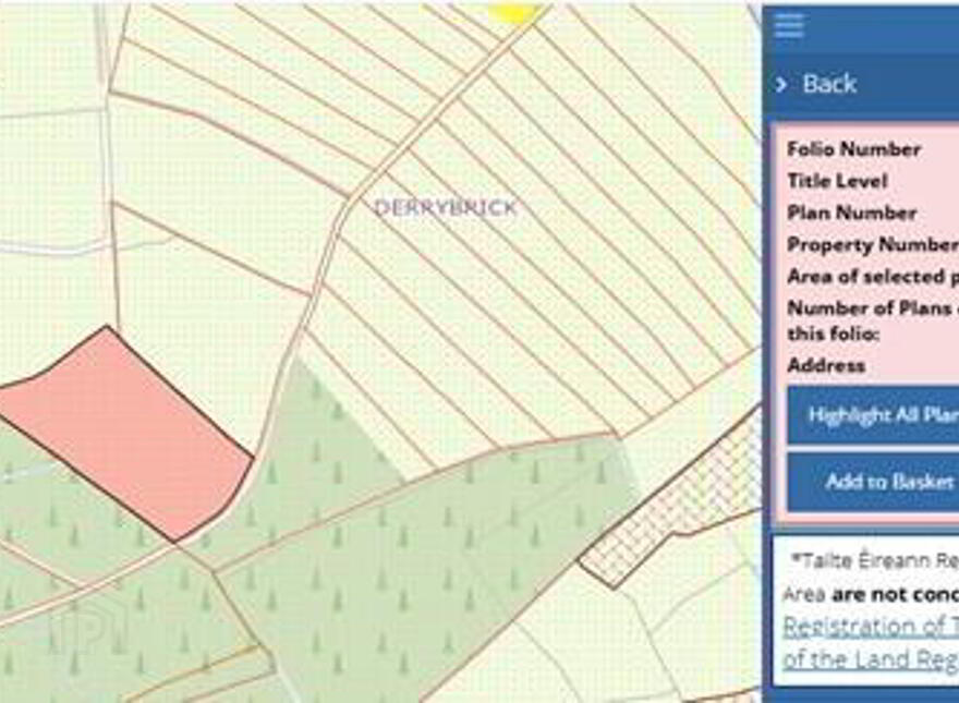 C.38 Acres At Derrybrick, Knockalough