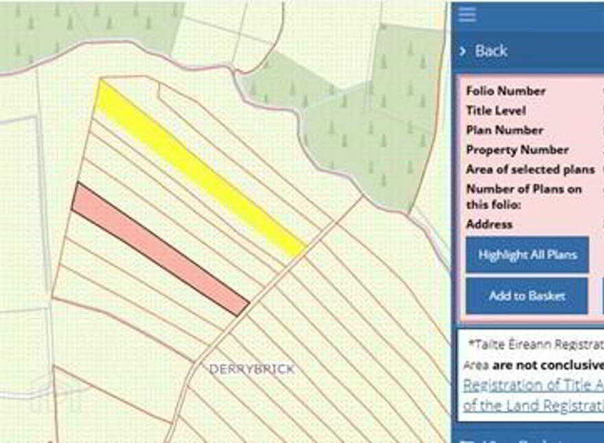 C.38 Acres At Derrybrick, Knockalough