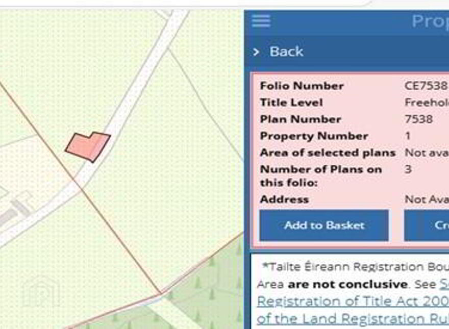 C.38 Acres At Derrybrick, Knockalough