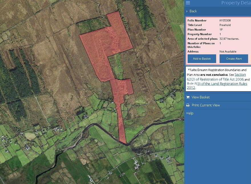 C. 81 Acres Forestry, Maulnahone, Cahersiveen