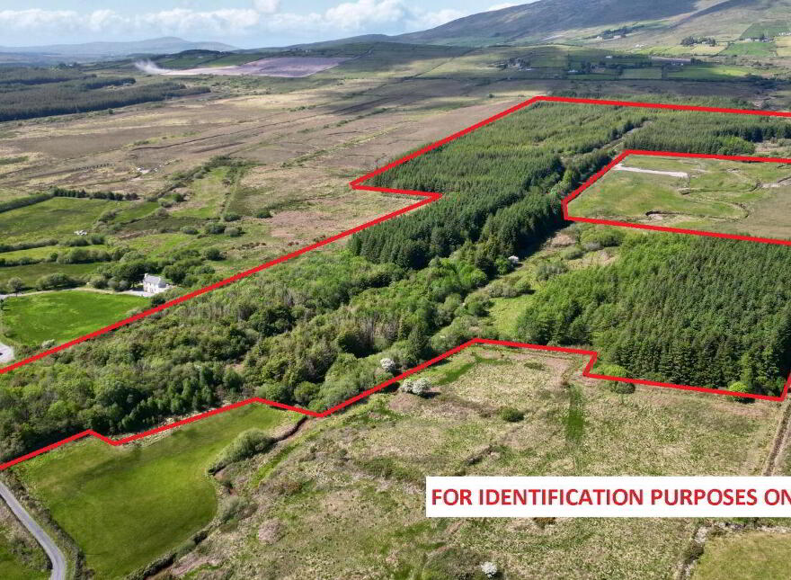 C. 81 Acres Forestry, Maulnahone, Cahersiveen