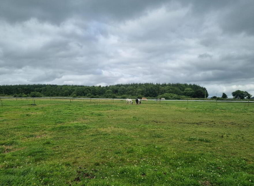 Whitethorn Equestrian Centre, Knocknasnaa, Abbeyfeale, V9476C0