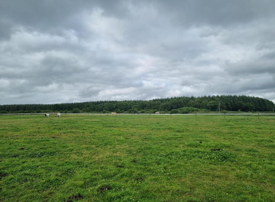 Whitethorn Equestrian Centre, Knocknasnaa, Abbeyfeale, V9476C0