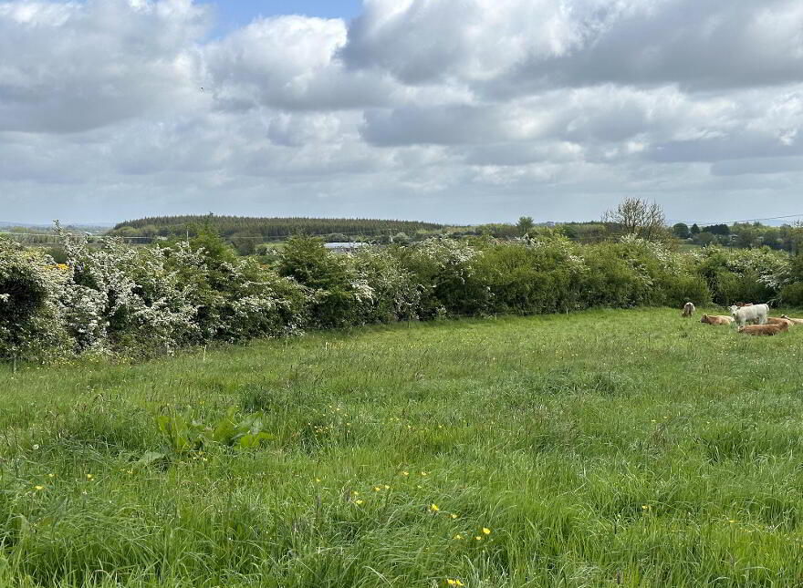 Springtown, Granard