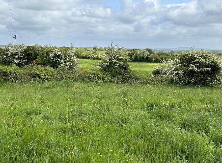 Springtown, Granard