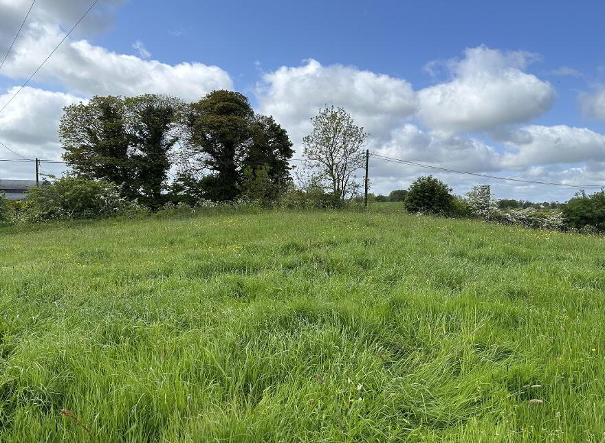 Springtown, Granard