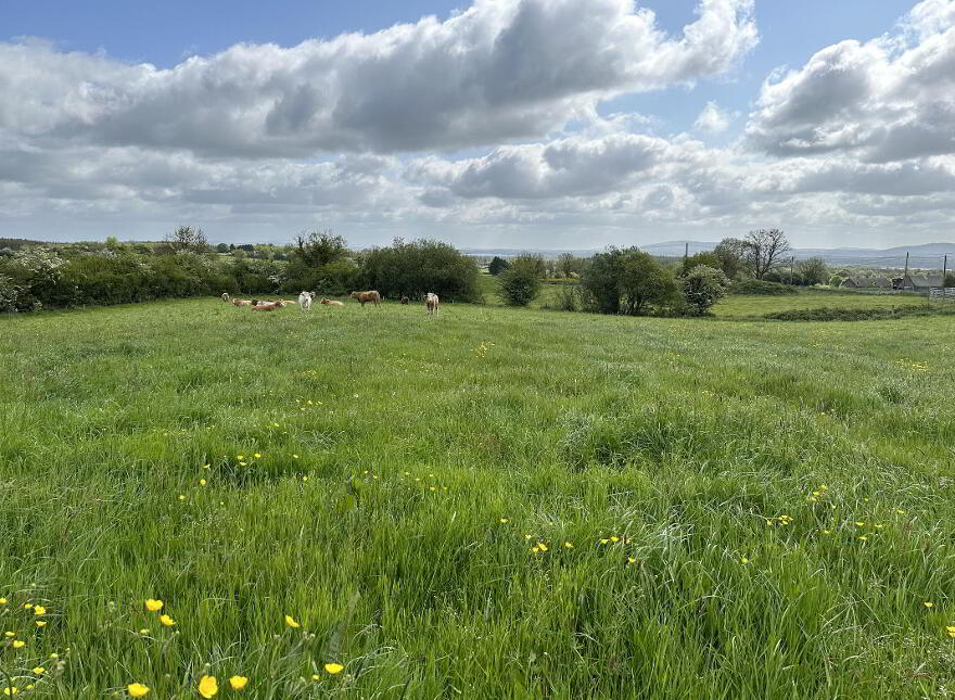 Springtown, Granard