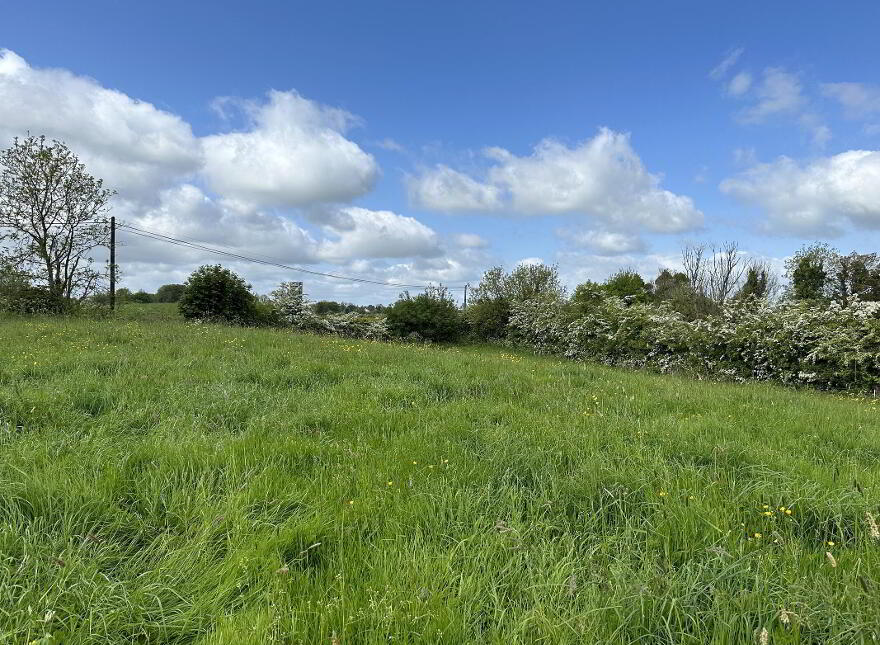 Springtown, Granard