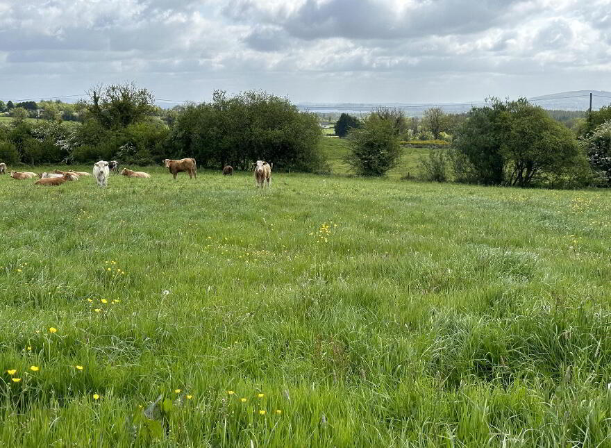 Springtown, Granard