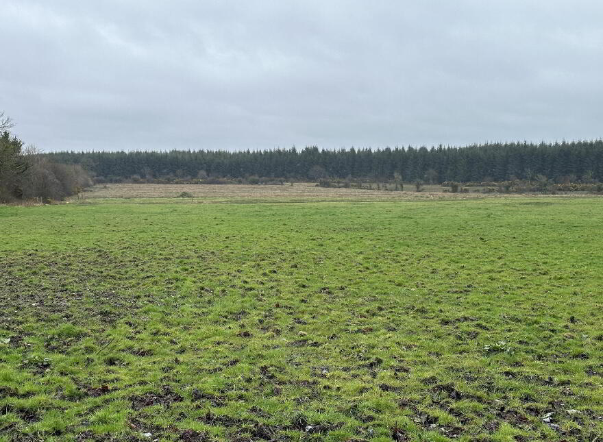 Ballymahon ED, Ballymahon Municipal District, Moydow