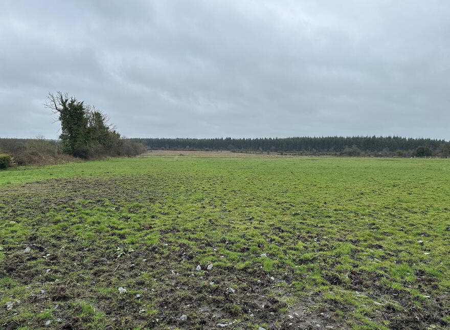 Ballymahon ED, Ballymahon Municipal District, Moydow
