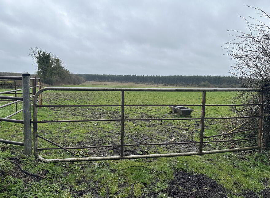 Ballymahon ED, Ballymahon Municipal District, Moydow