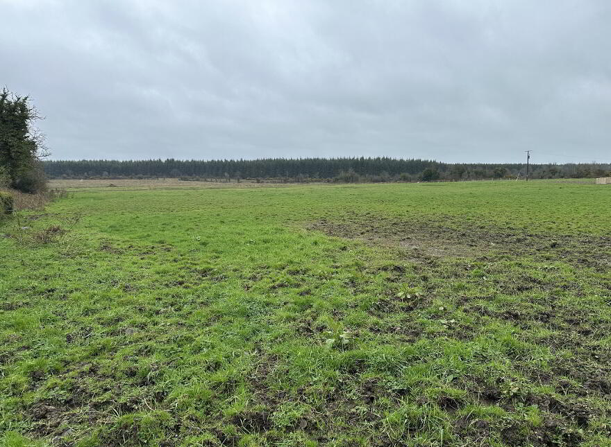 Ballymahon ED, Ballymahon Municipal District, Moydow