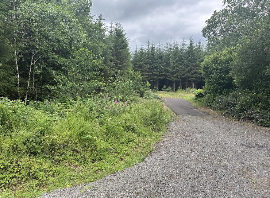 Drumbess, Killeshandra