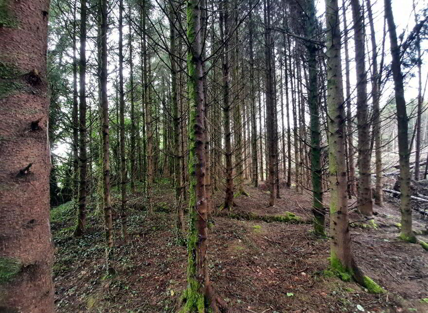 Mayo, Ballinamore