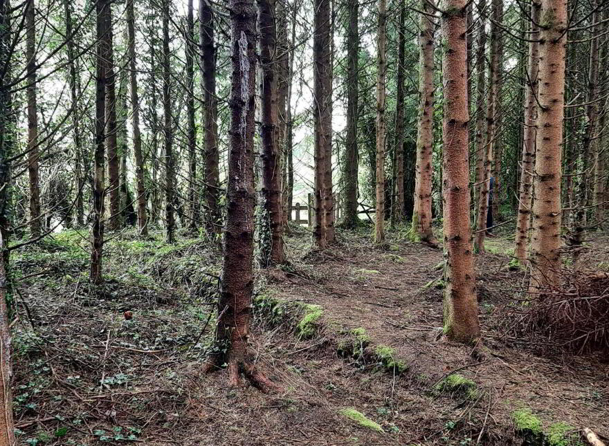 Mayo, Ballinamore