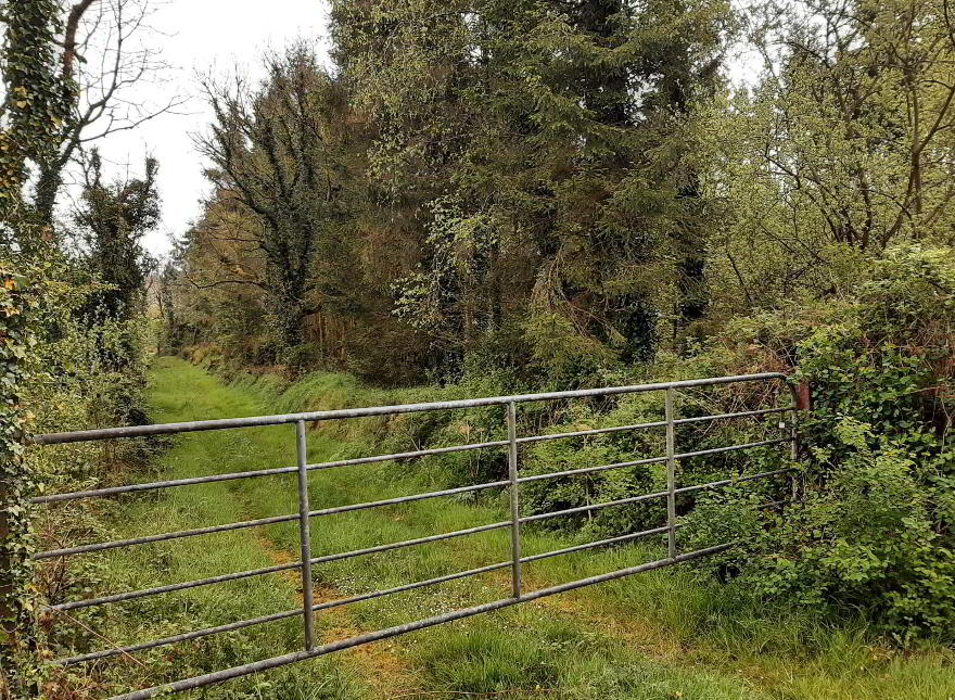 Mayo, Ballinamore