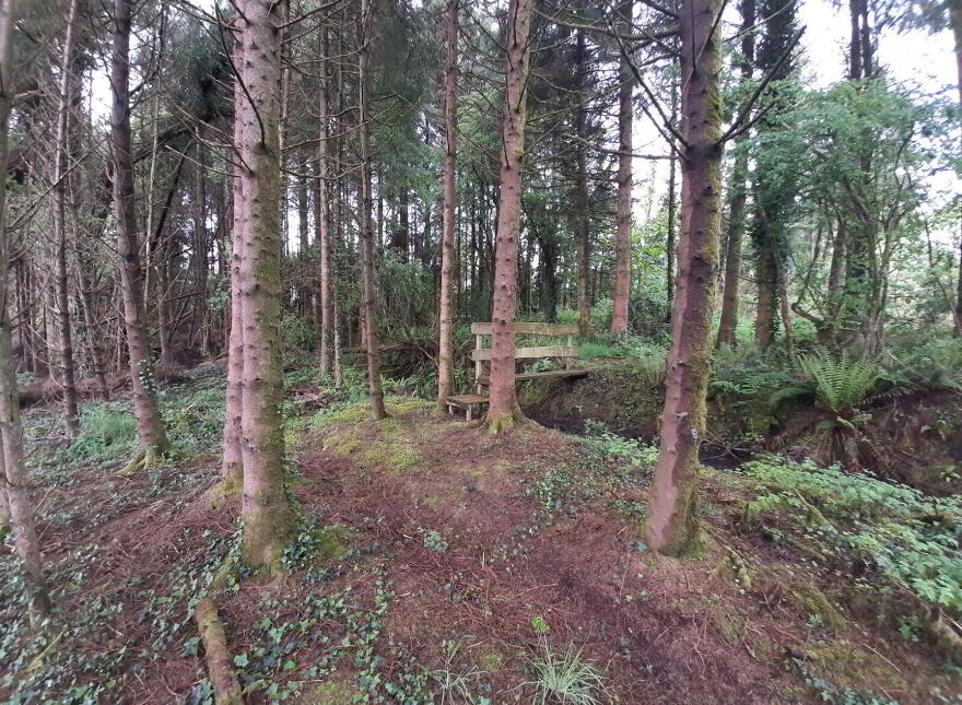 Mayo, Ballinamore