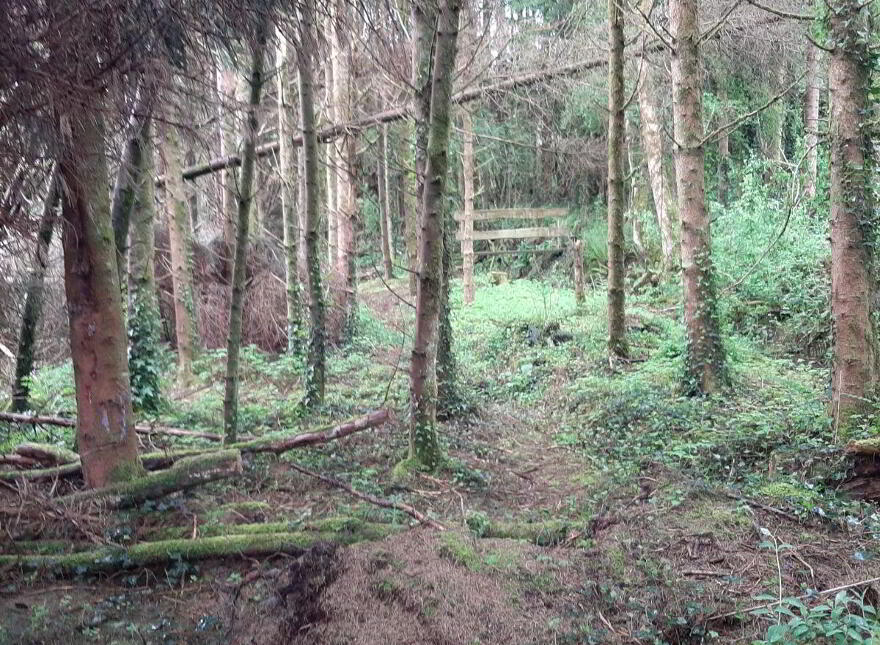 Mayo, Ballinamore