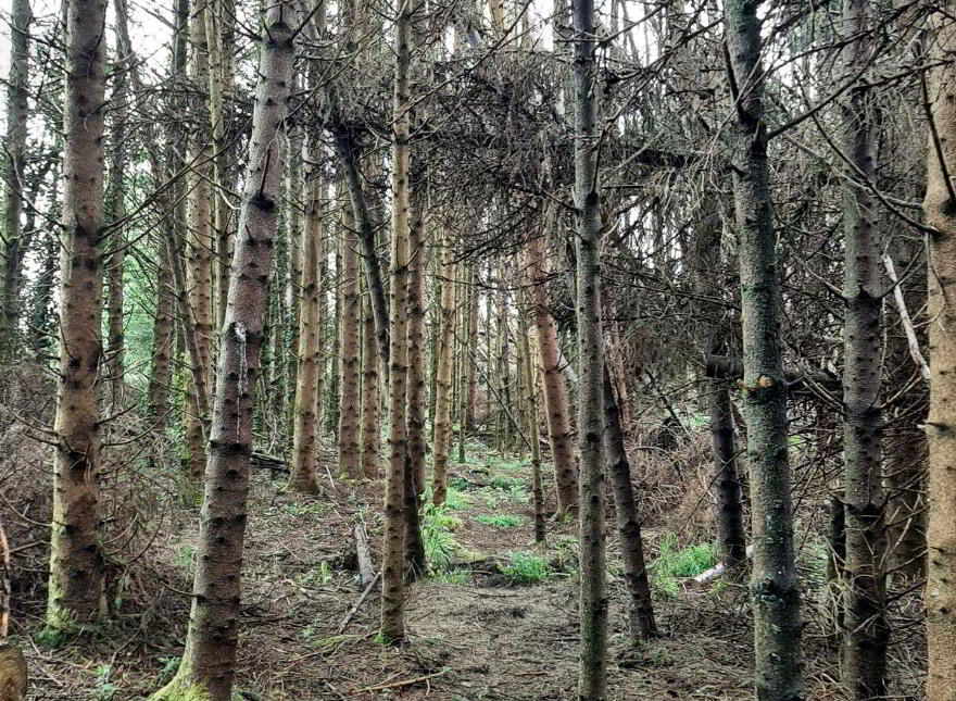 Mayo, Ballinamore