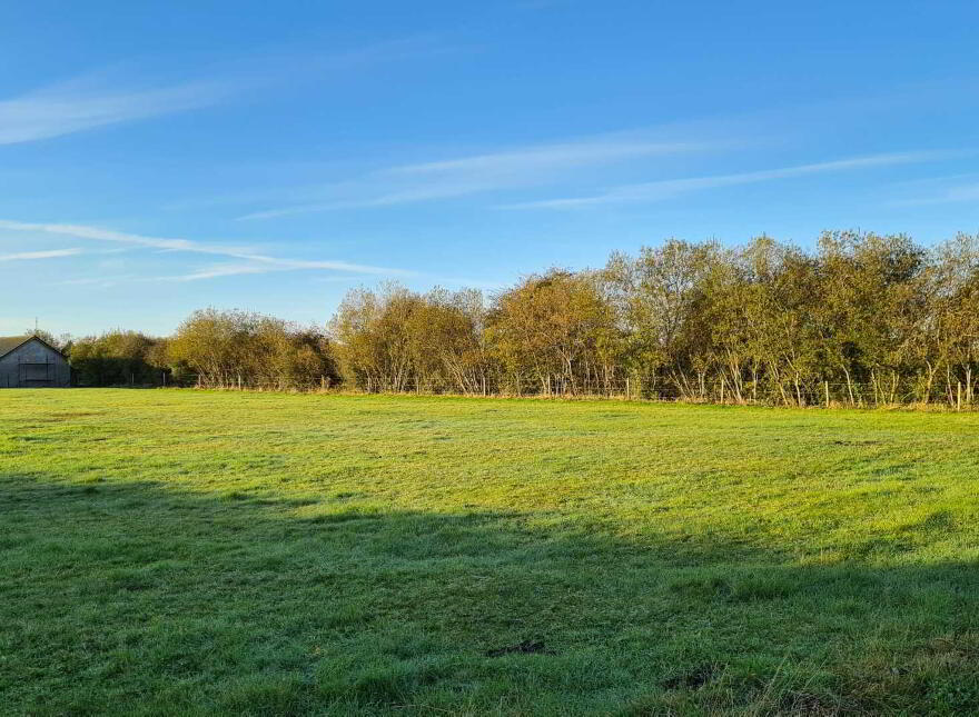 Site, `a`, Derreen, Cloneygowan, Cushina