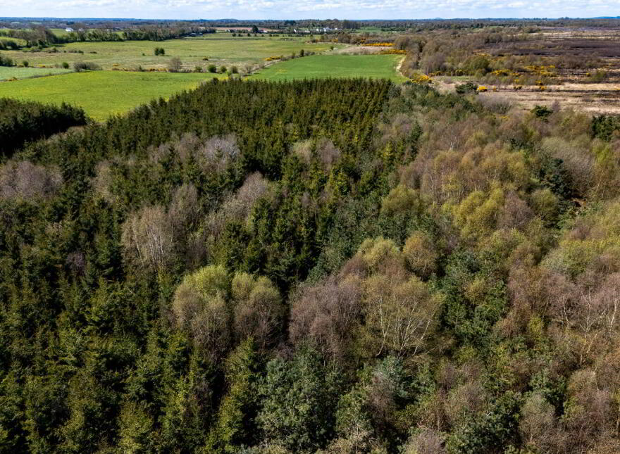 Kilmurry, Ballycommon, Derrygrogan