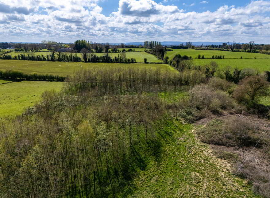Kilmurry, Ballycommon, Derrygrogan