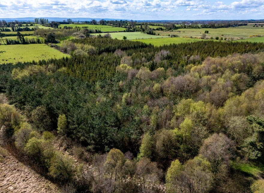 Kilmurry, Ballycommon, Derrygrogan