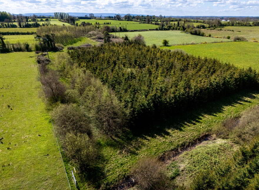 Kilmurry, Ballycommon, Derrygrogan