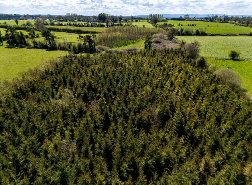 Kilmurry, Ballycommon, Derrygrogan