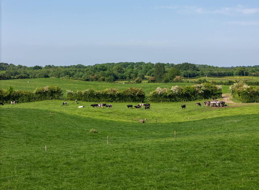 Cappanrush, Kilbeggan